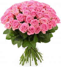 Розы Россия розовые