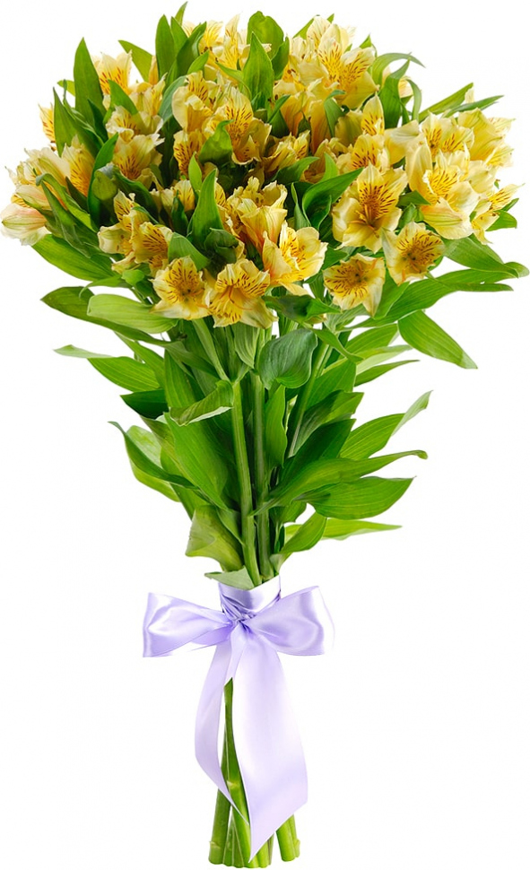 Желтые альстромерии