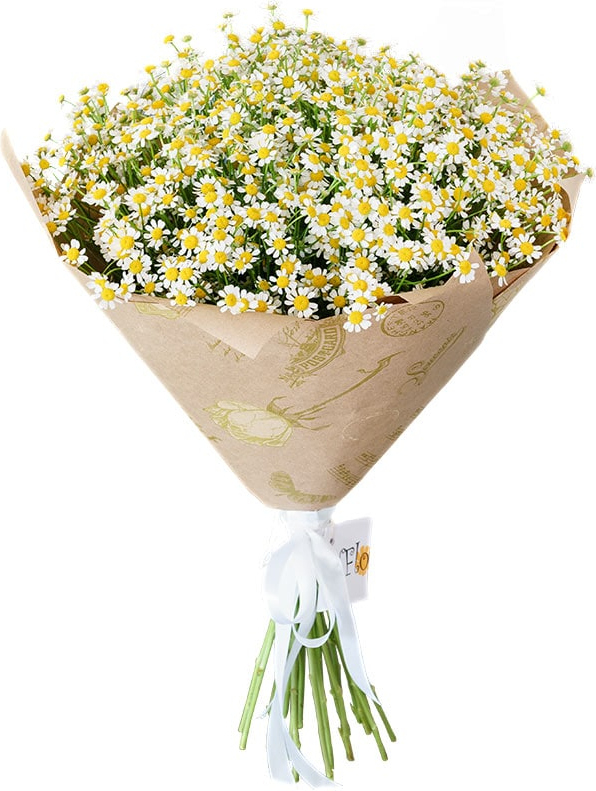 Букет «Ромашковое поле»